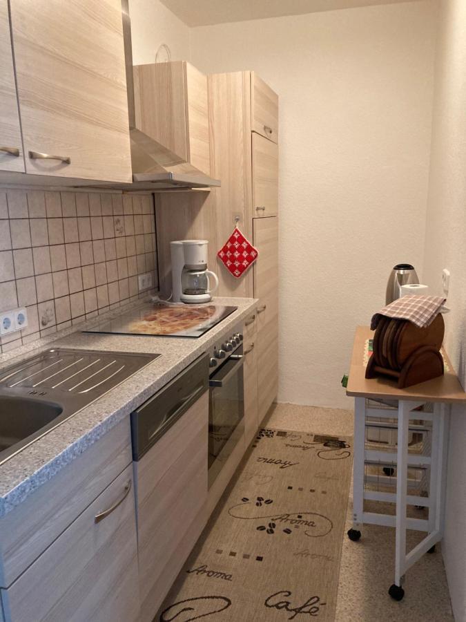 -Am Fuss Zum Zittauer Gebirge- Apartment Hainewalde Екстериор снимка